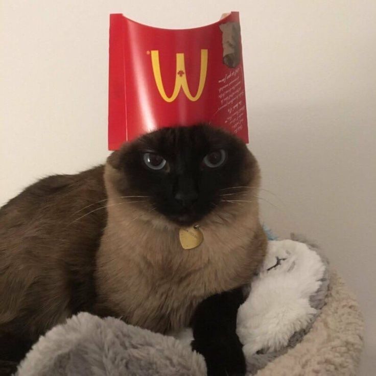 vx-underground tweet media