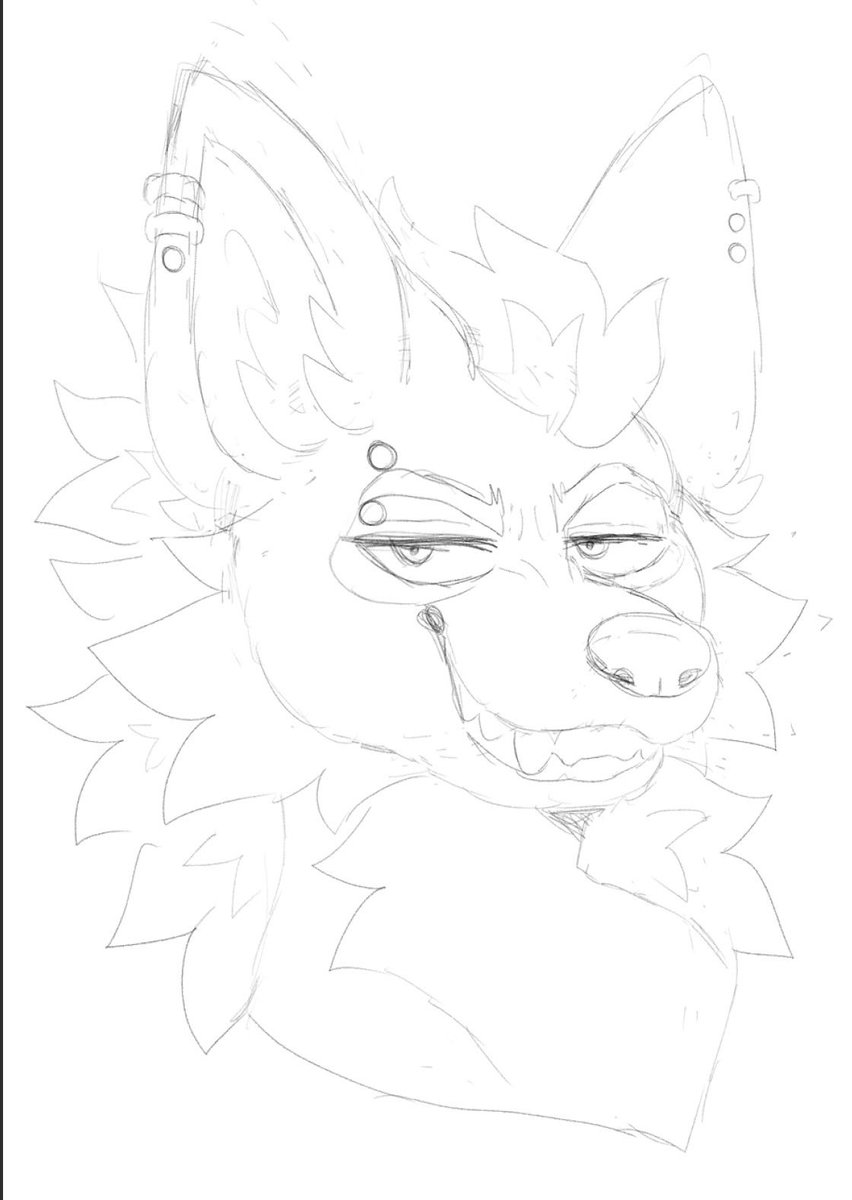 ✨ Nafex 🎢 tweet media