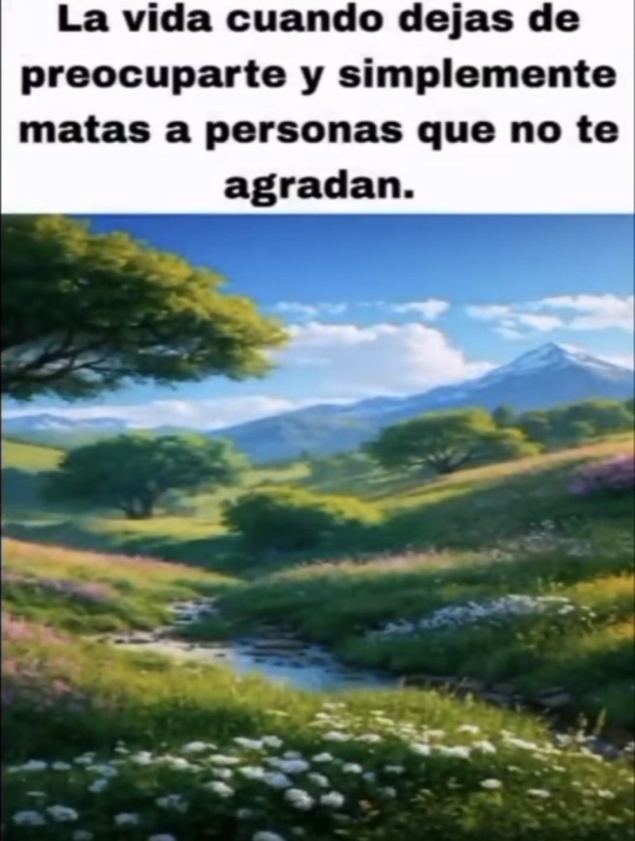 chincheto pirata somali (@wikipistacho) on Twitter photo 
