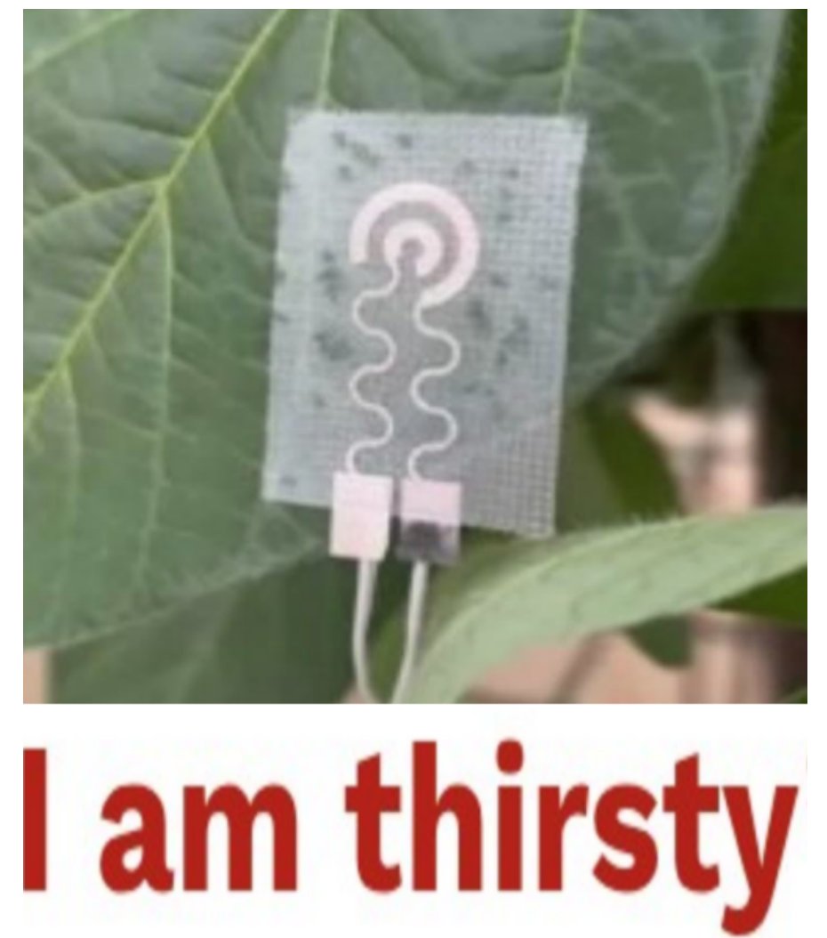 Dusty Bumps (@dusty_bumps) on Twitter photo 