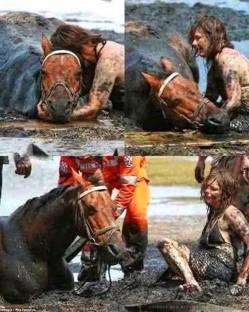 "W przypływie odwagi Nicole Graham odmówiła porzucenia konia, który utknął w przypływie. Przez prawie trzy godziny trzymała głowę Astro nad gęstą, ciągnącą się warstwą błota, przedzierając się przez wyczerpanie, strach i nieustanny napływ fal. Podczas gdy jej córka biegła po