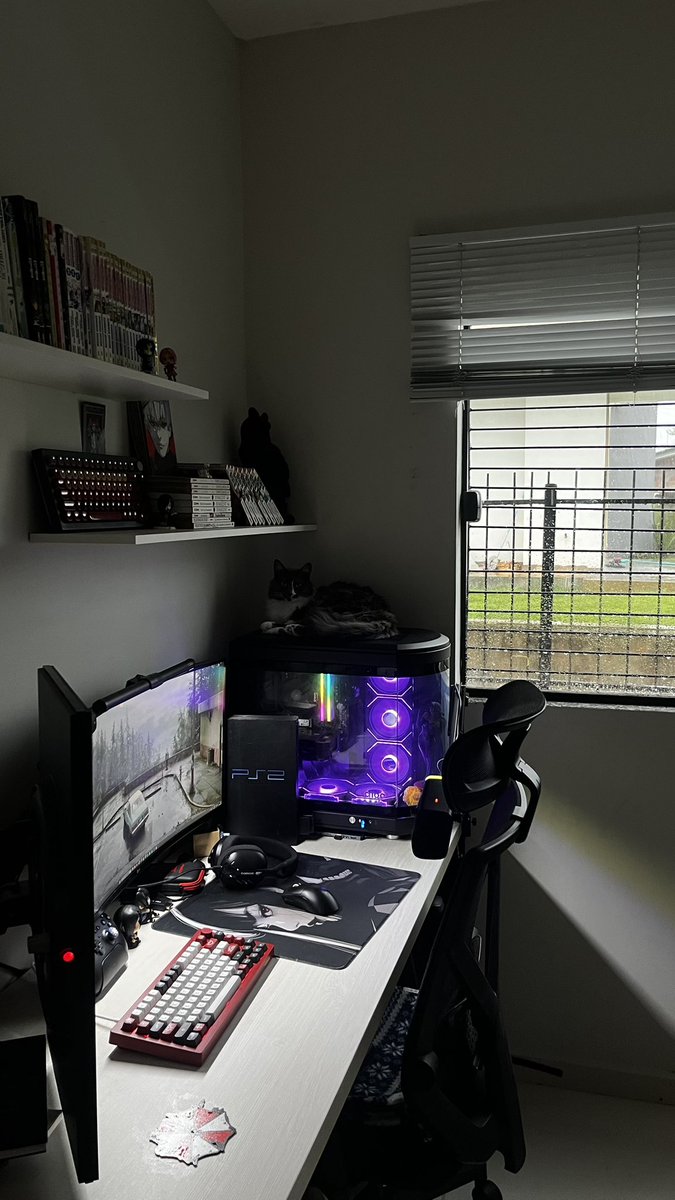 Haru 吉田 春 tweet media