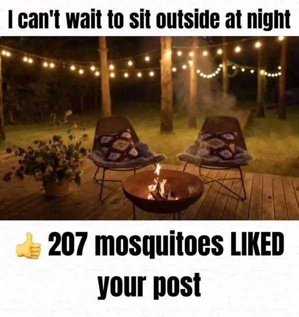 Michael Wheelock tweet media