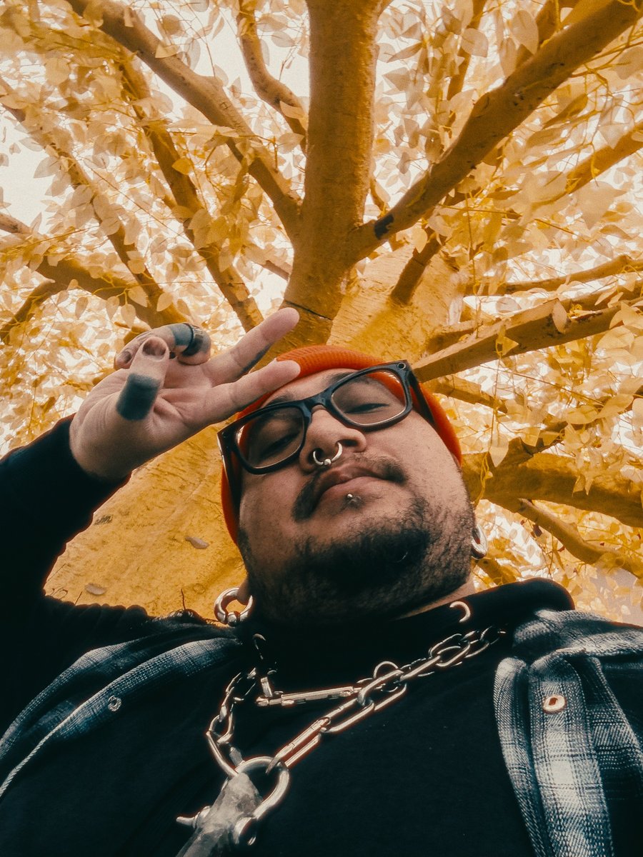 HVXLII (@hvxlii.io 🦋) tweet media