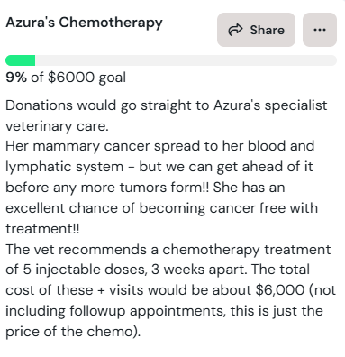 xWillawisp's tweet photo. Fellow Azerothians &amp; cat lovers, it would mean the world if you could spread this around.

My irl companion has cancer, but we can treat it!! https://t.co/dQEKiiyEpm