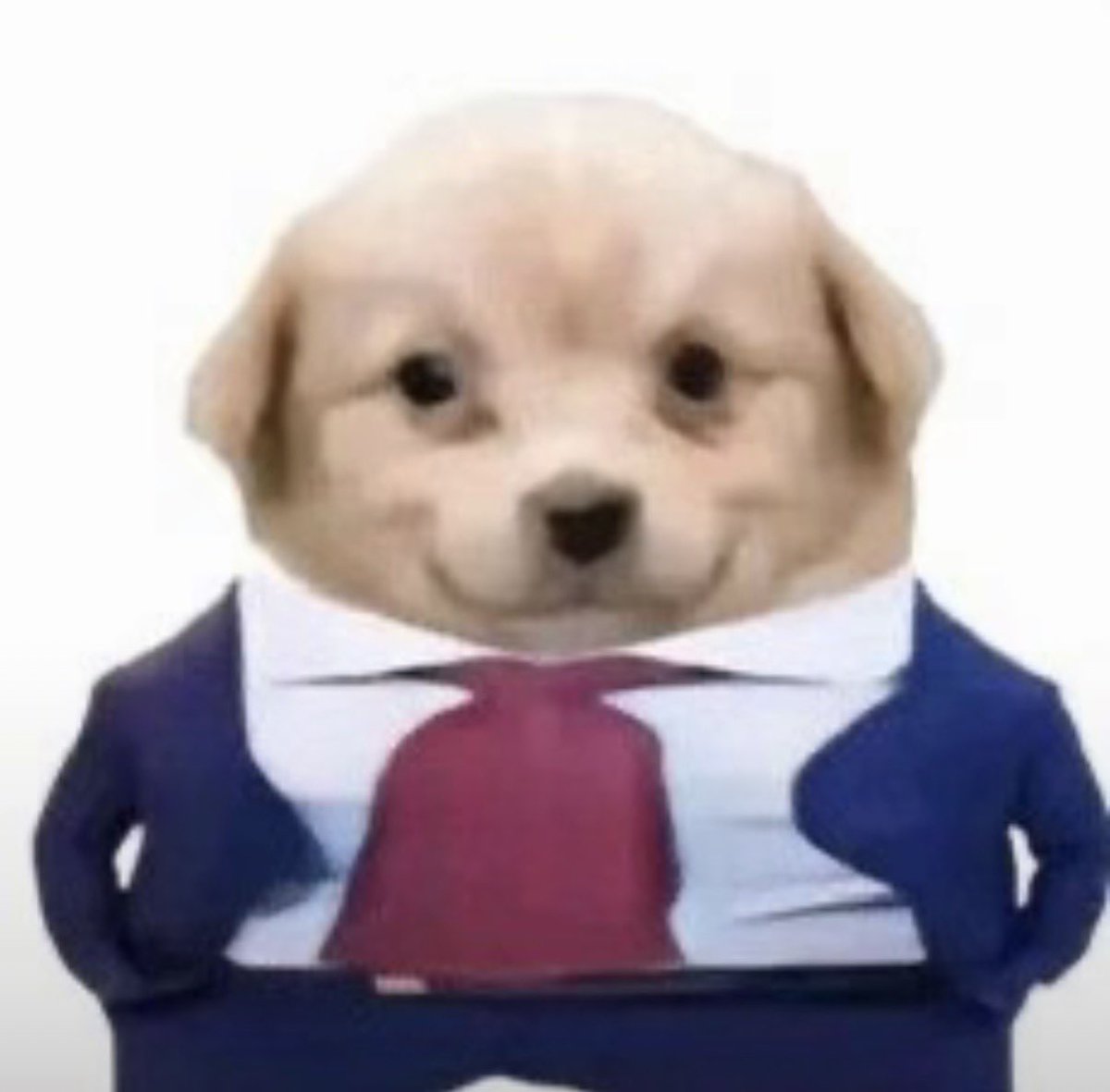 Rose¹ ⁴⁴ tweet media