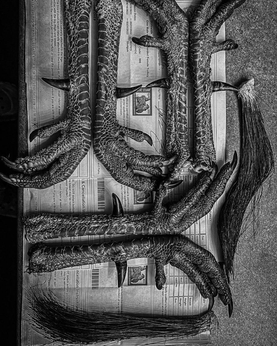 HEVI-Shot tweet media