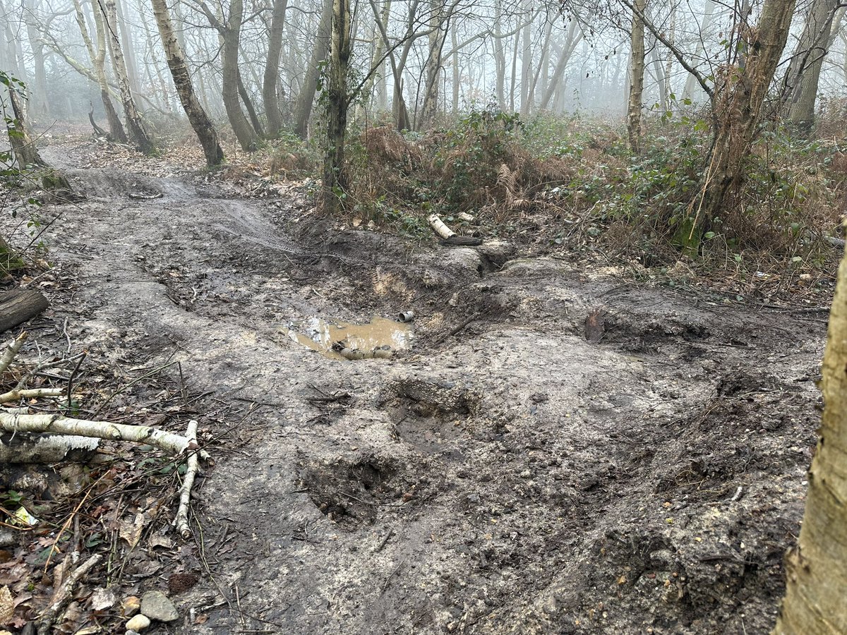 St John's Residents Association🍃💚🍃 tweet media