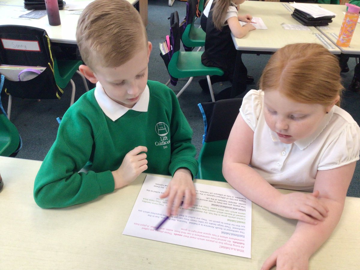 @CaldiY2 tweet media