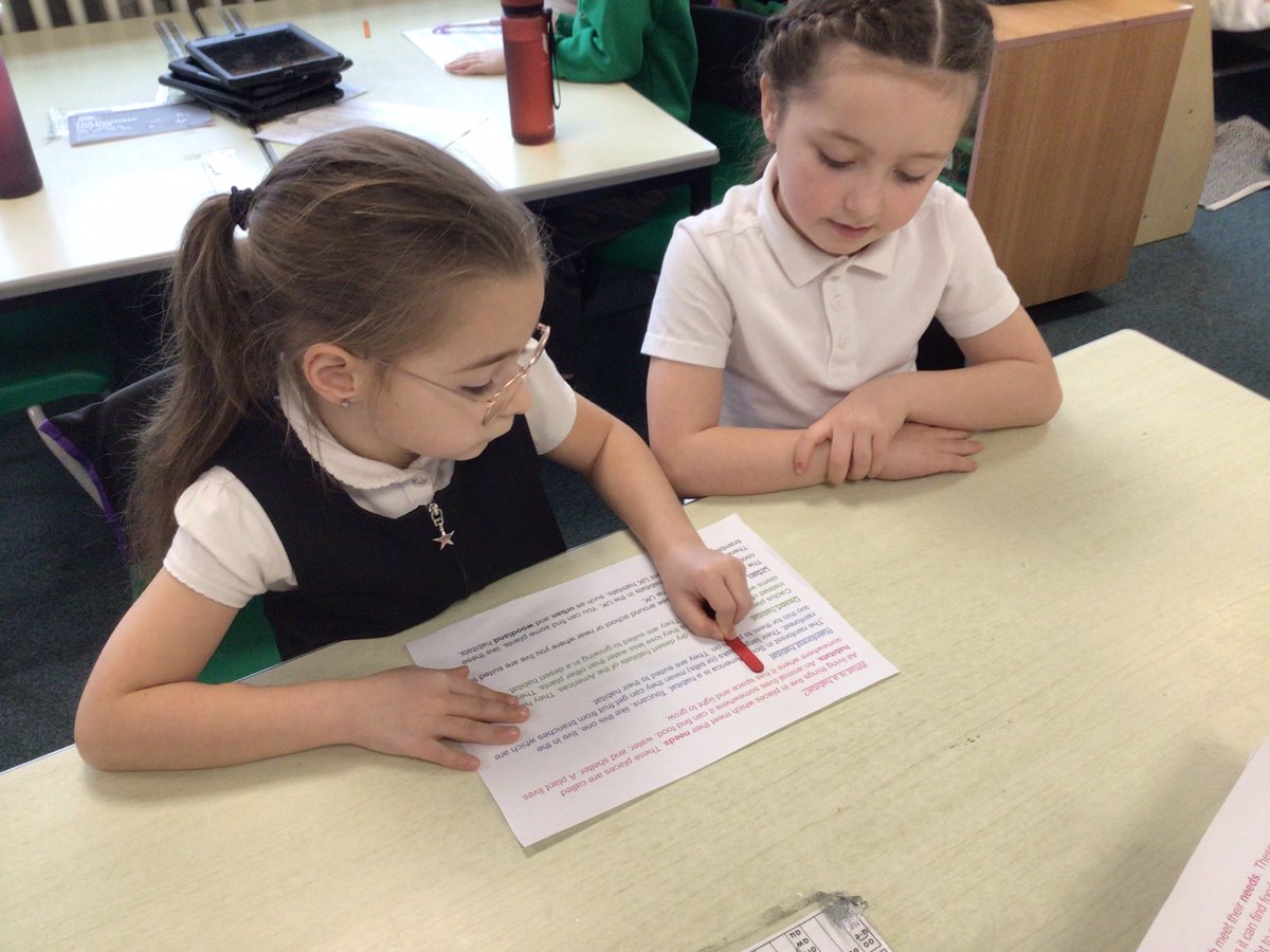 @CaldiY2 tweet media