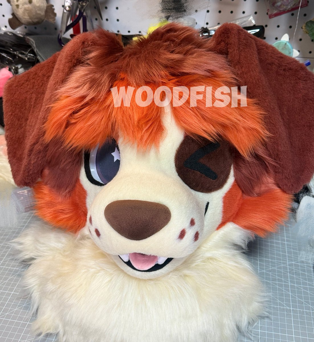 WOODFISH tweet media