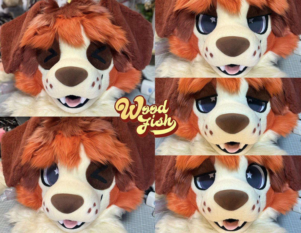 WOODFISH tweet media