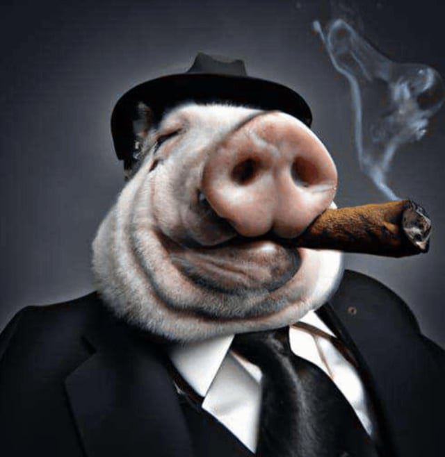 NullCapoo tweet media