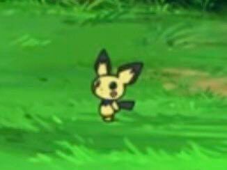 Pokémon Posts tweet media