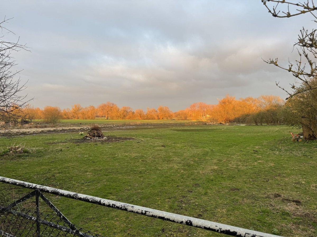 Ben Lisle tweet media