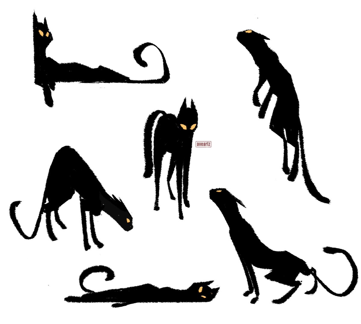 Hadjie Joos Ave tweet media