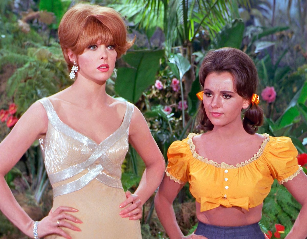 Ahead of the Curve tweet media