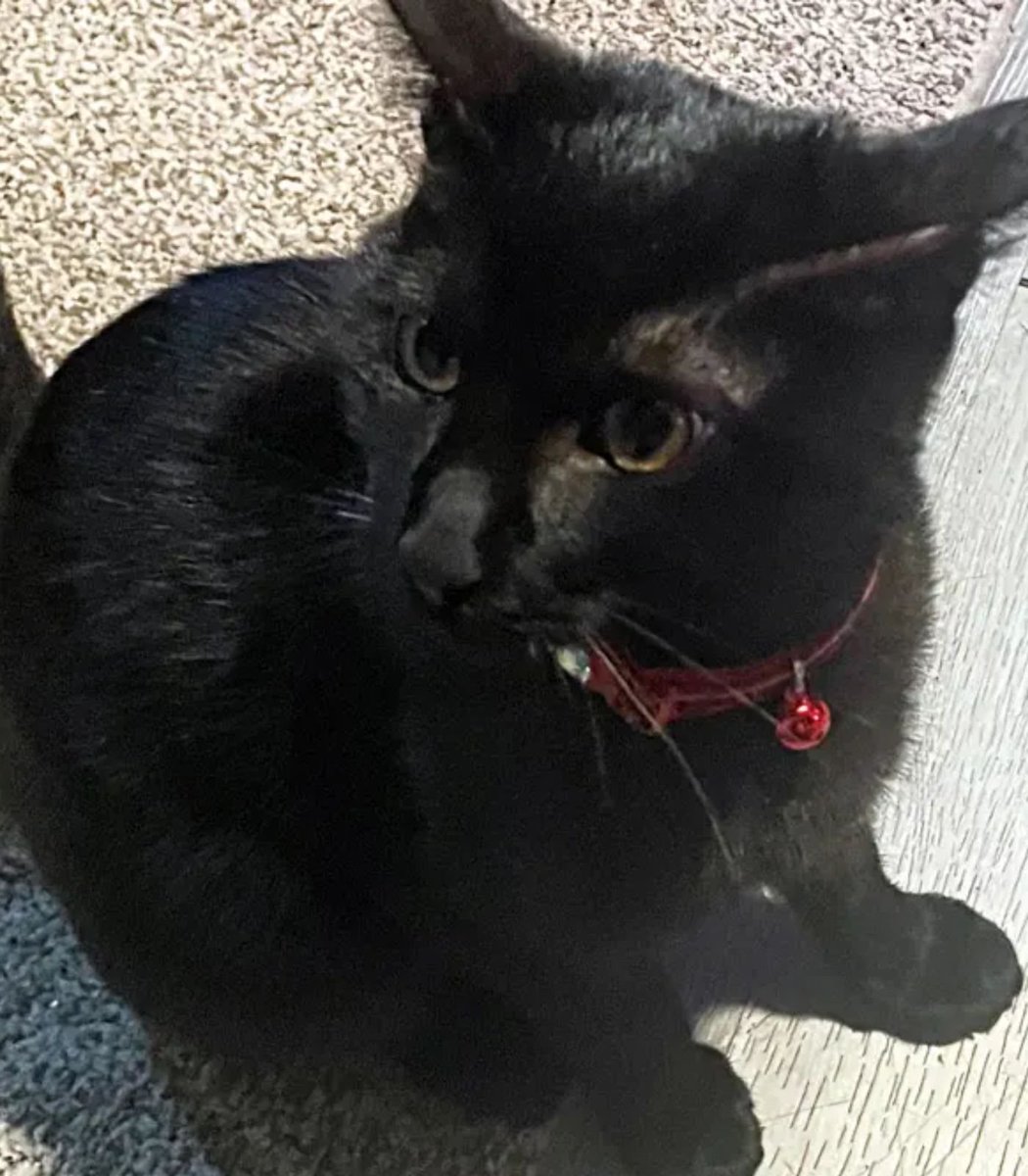 Boşuna Tıklama tweet media