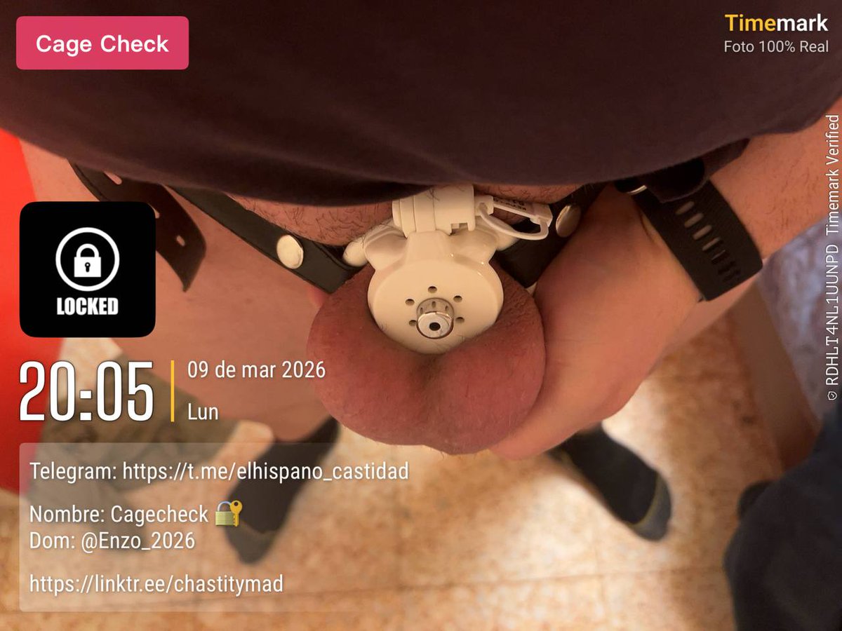 Enzo_2026's tweet photo. Ofreciendo sus bolitas inútiles -que se van cargando y pasaran muuuuchos dias sin descargarse- al amo, como pelotas antiestress. El cerdo @3z_boson sabe complacer a su amo.

#chastity #malechastity #flatcage #invertedcage #uselessballs https://t.co/5Nld2J2PoM
