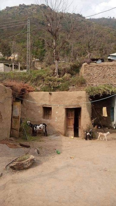 انس ماغيره tweet media