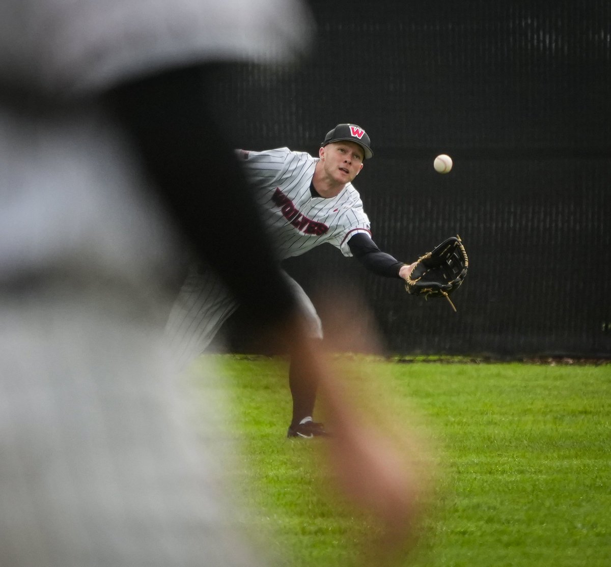 Western Oregon Wolves Athletics tweet media