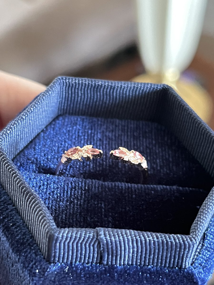 Lianna 👑 ✨ Love-Chu! tweet media