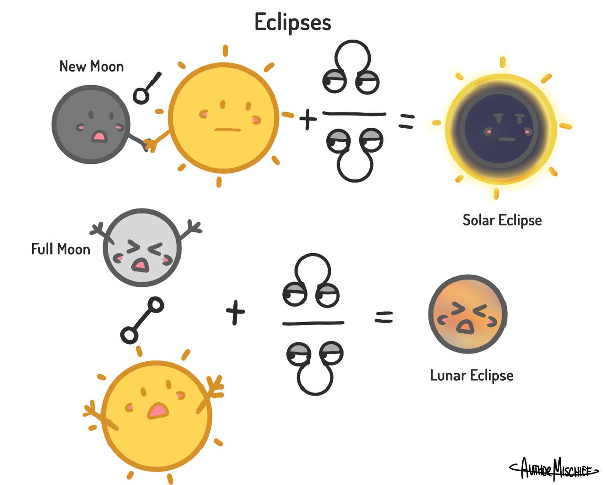 Xene Clare tweet media