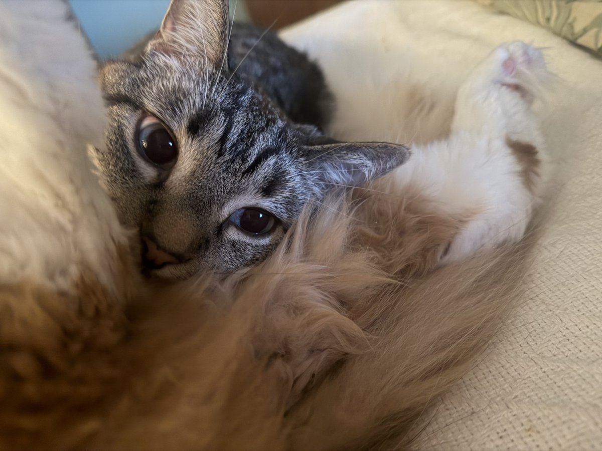 🐛🌷Dean🦋🪴 tweet media