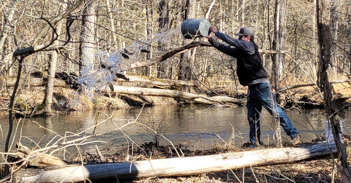 PSUecosystems's tweet photo. The Stone Valley Recreation Area and the Forestland Management Office staff assisted the PA Fish and Boat Commission and dozens of volunteers in the pre-season trout stocking of Penn State's Lake Perez and the outlet stretch of Shaver Creek southward. https://t.co/tP88xOeHR5
