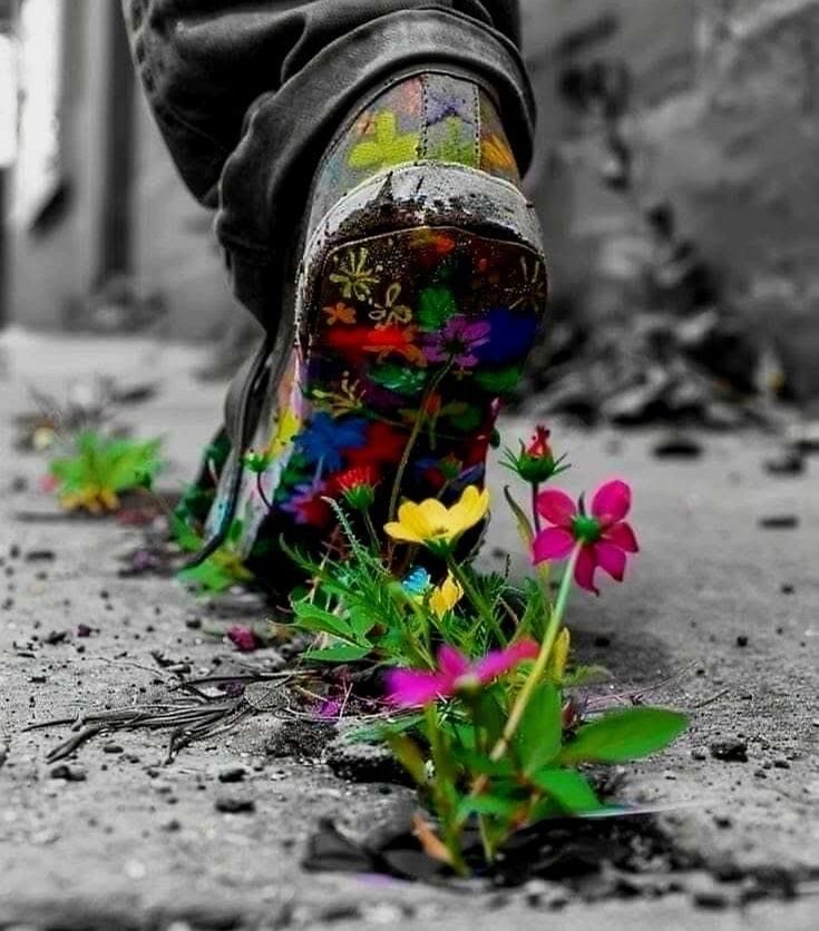 Gitana1369877's tweet photo. • "May your steps plant seeds that bloom long after you’ve walked on." https://t.co/hpbtmZVxOf