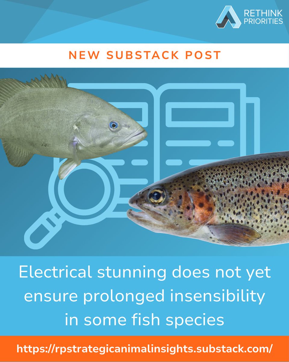 RethinkPriors's tweet photo. New research findings on electrical stunning for European finfish species: a 🧵!

Rainbow trout, gilthead seabream, and European seabass are the top three most farmed fish species in Europe, by number of individual fish. (1/4)

#humaneslaughter #fishwelfare https://t.co/l4qhqB05HL