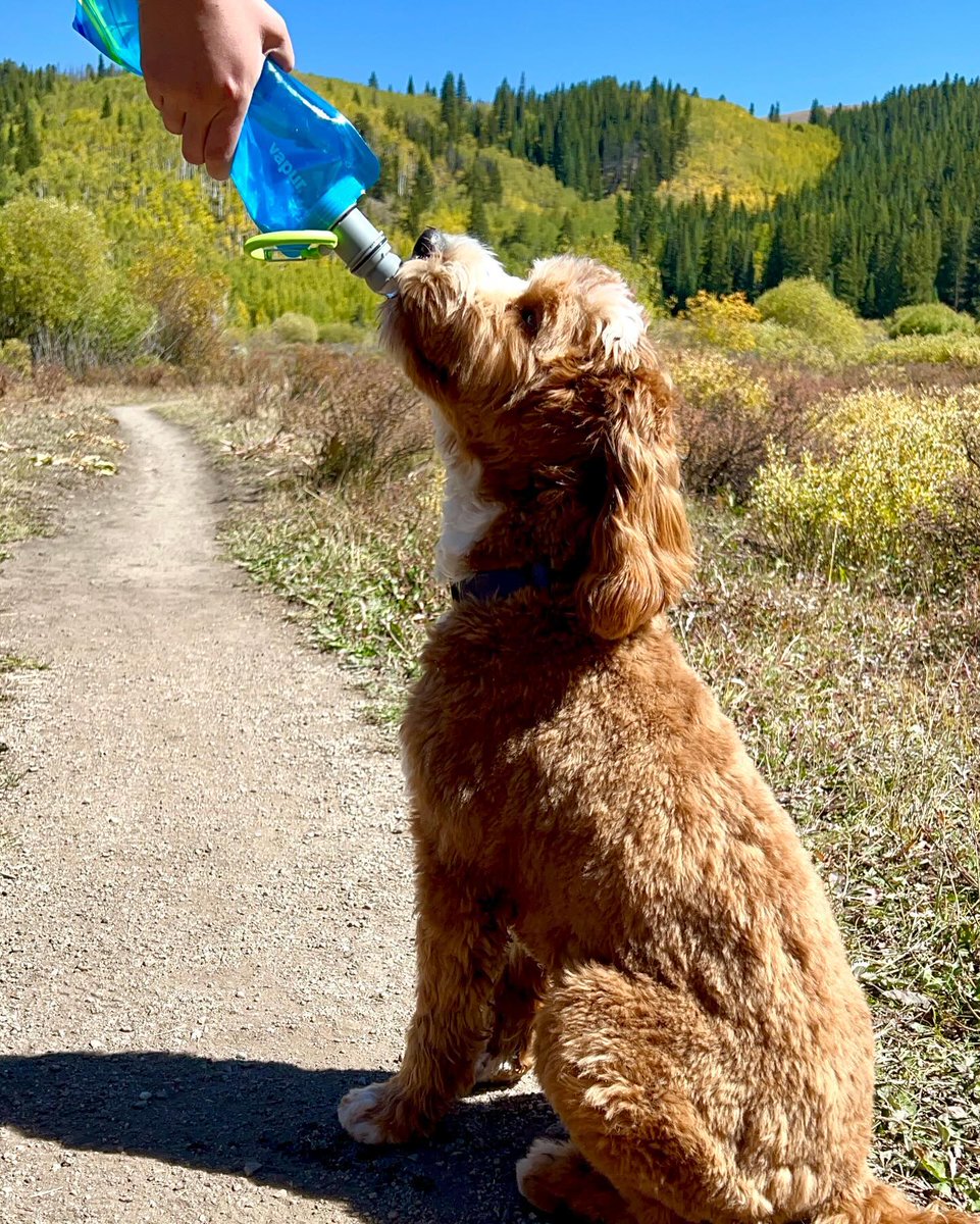 Vapur Hydration tweet media