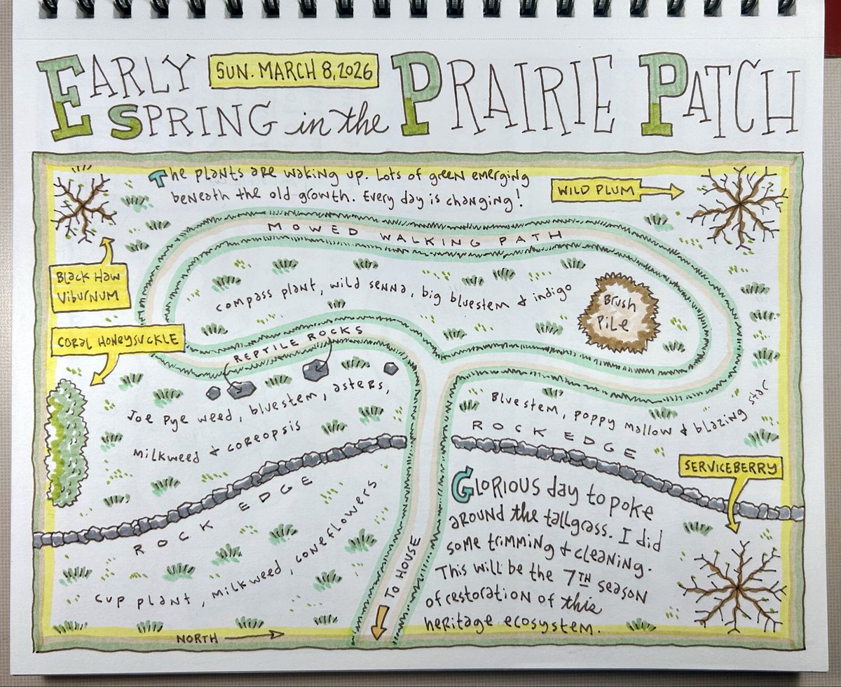 Dave's Drawings tweet media