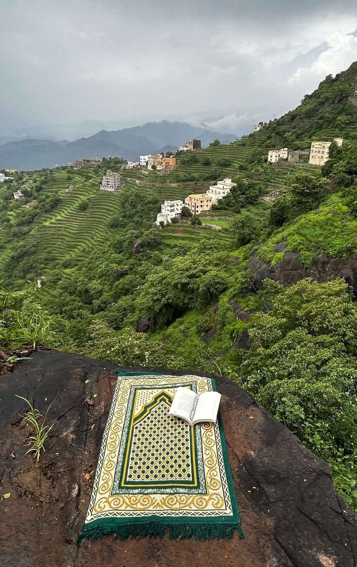 أَدِيب tweet media