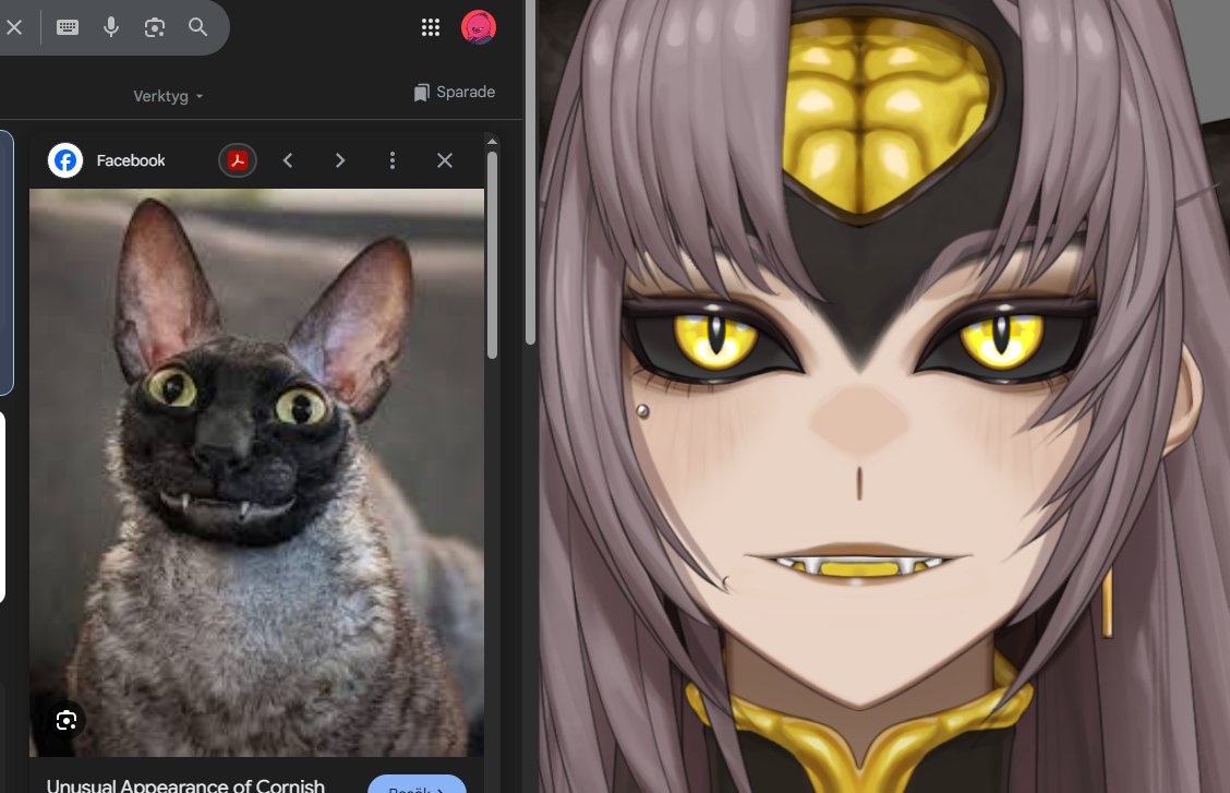 Tim 🔪Pigeonchild (Commissions for March open) tweet media