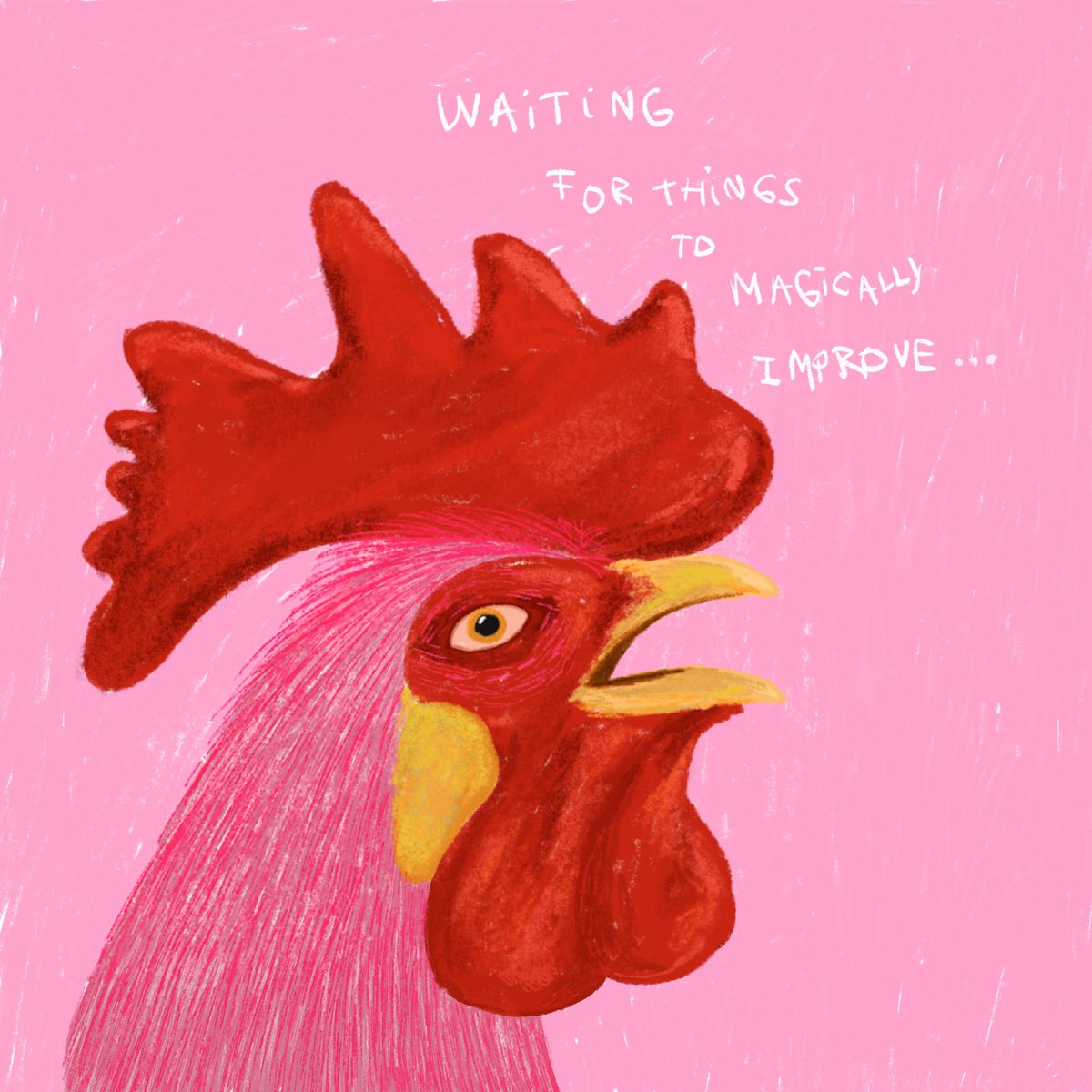 FerBoccard tweet media