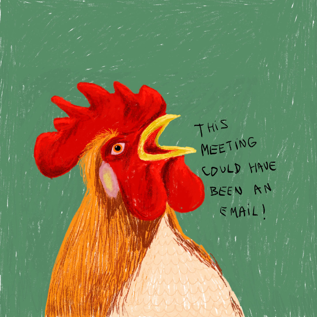 FerBoccard tweet media