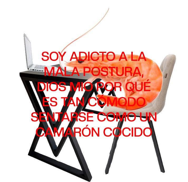 memes feos yo qué sé tweet media