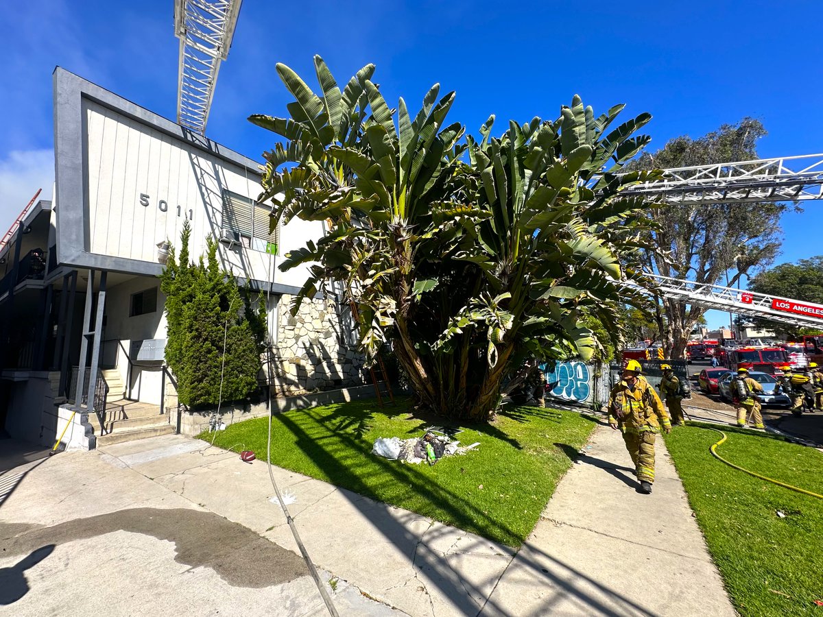 Alex Weiss tweet media