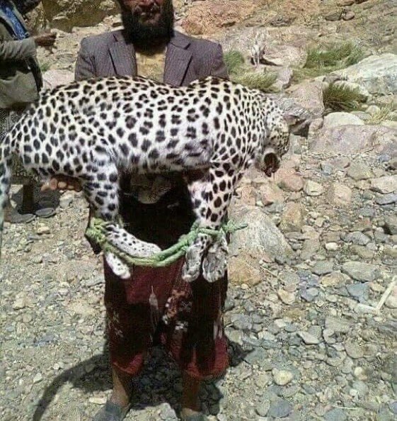 سعيد السهيمي tweet media