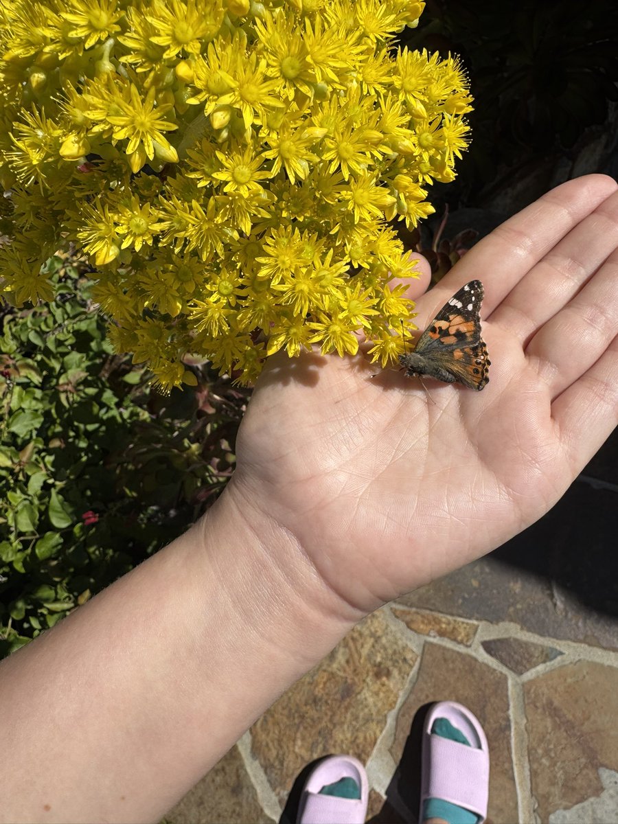 maya 🦭 tweet media