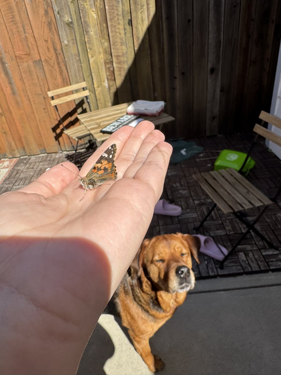 maya 🦭 tweet media