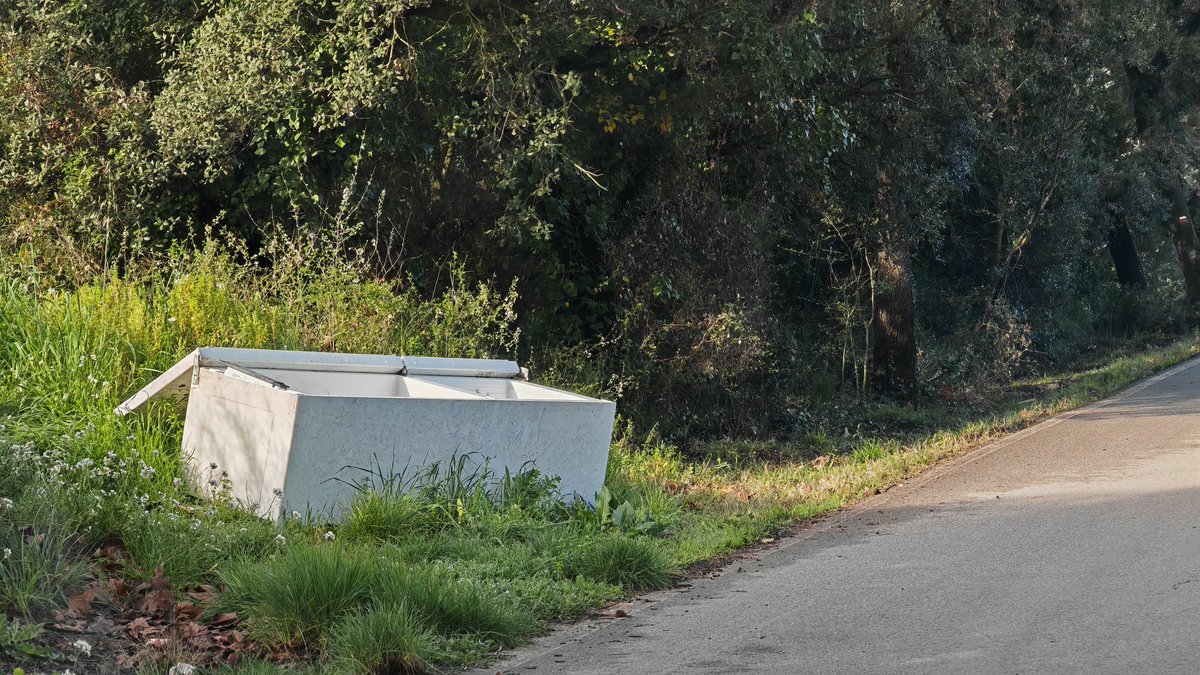 Núria V tweet media