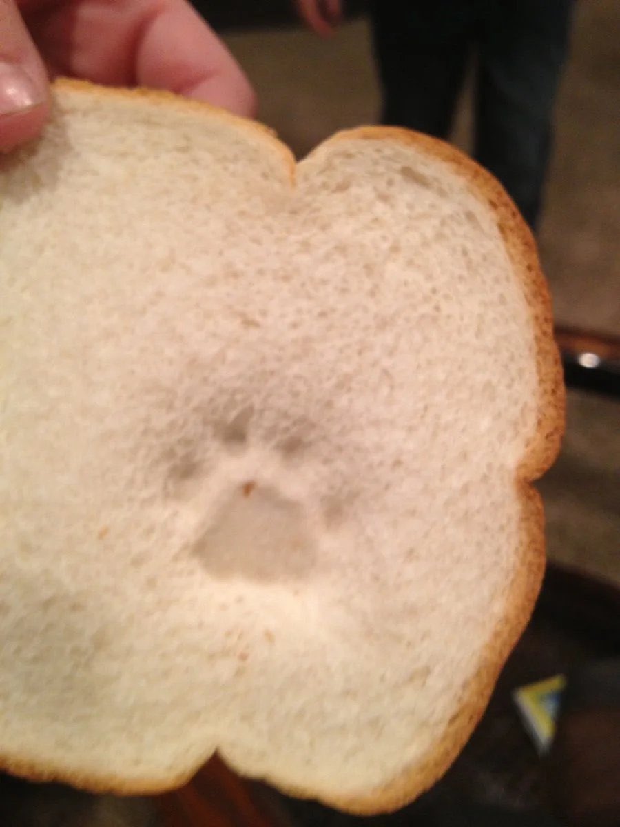 rainy ☔🌈🎸🦀⛱️👍 tweet media