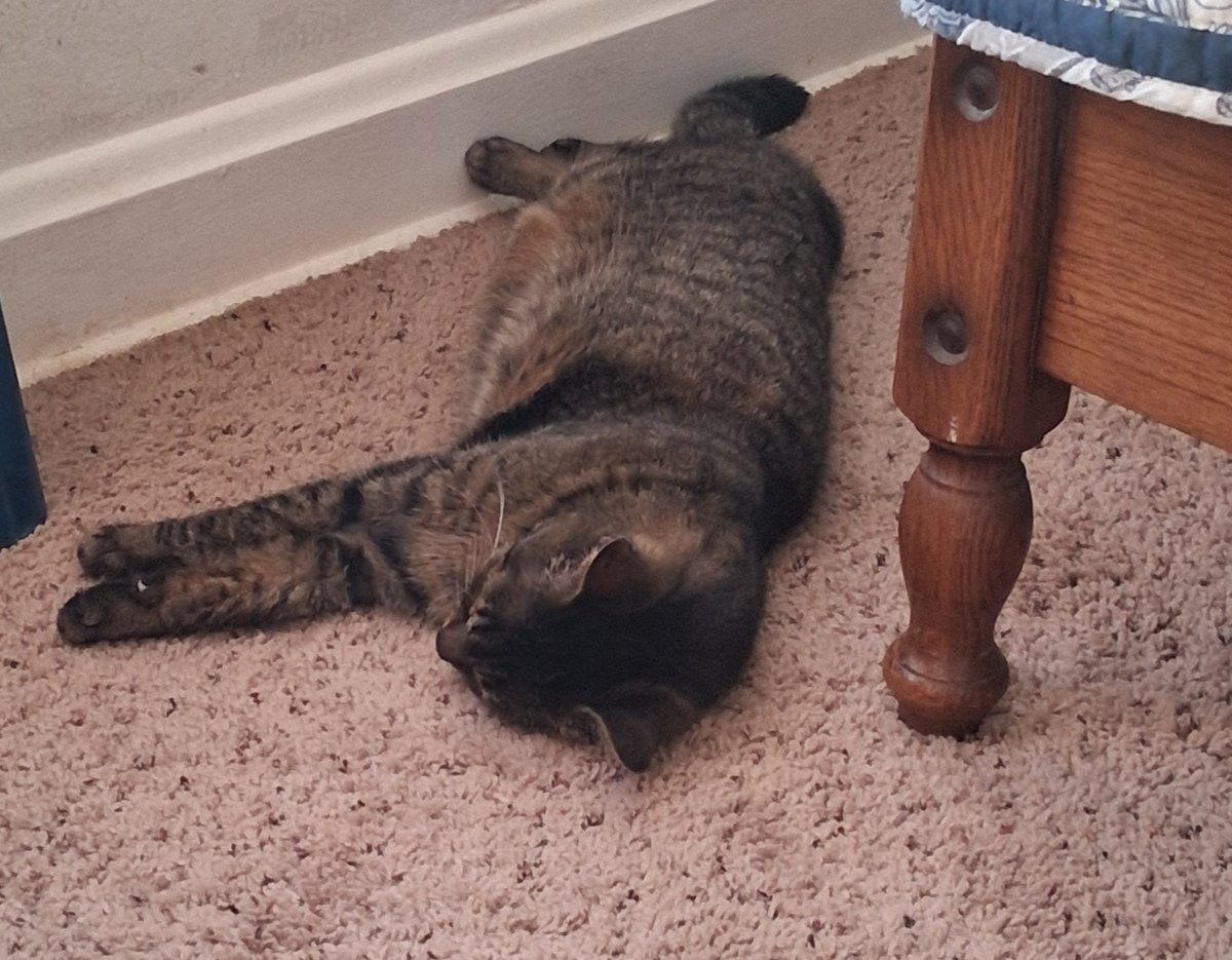 Janilla Wagner tweet media