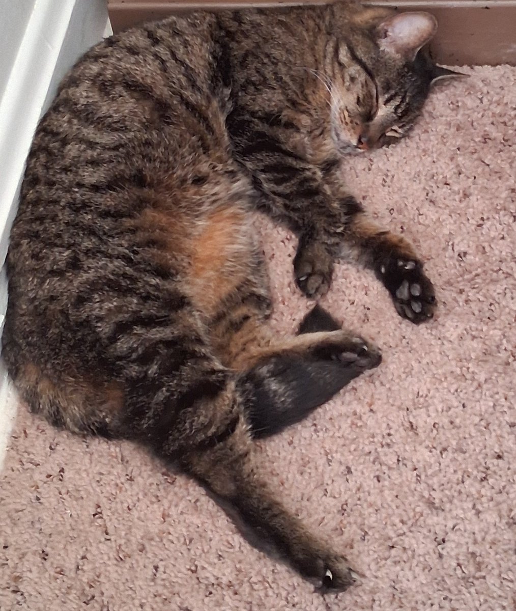 Janilla Wagner tweet media