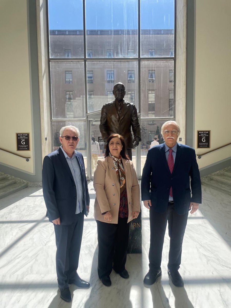 Sinam Mohamad tweet media