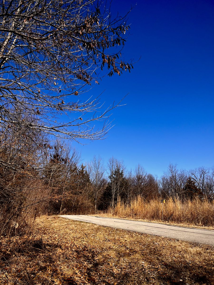 Zach Hammer tweet media