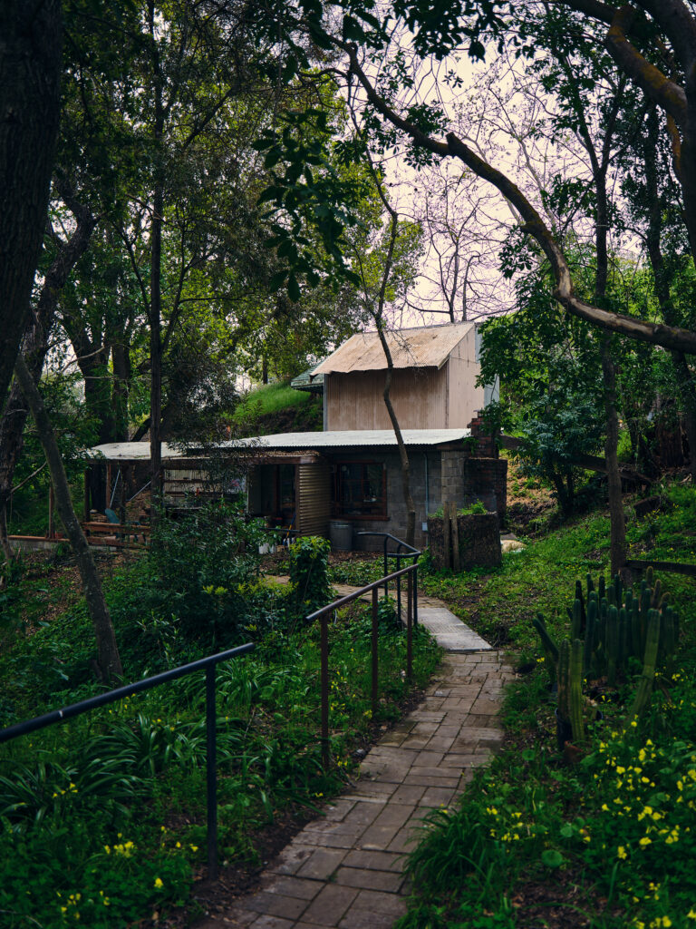 Taylor Sterling tweet media