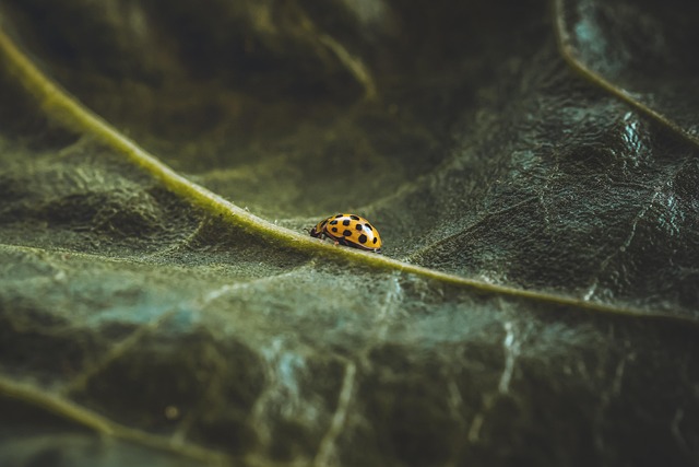 Chadwick Shaw tweet media